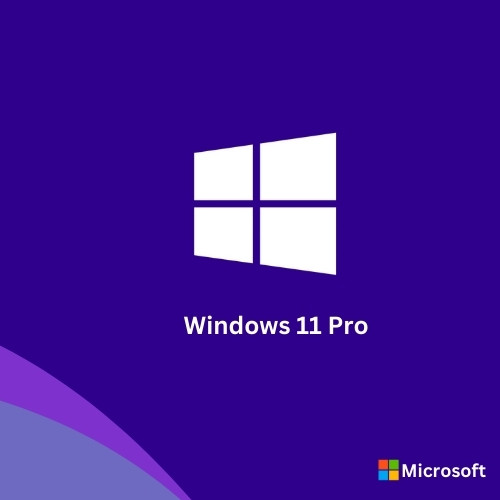 Windows 11 Pro Individual Lifetime