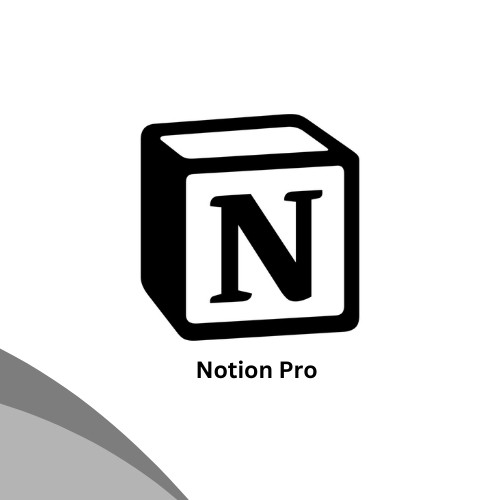 Notion Pro  1 Month