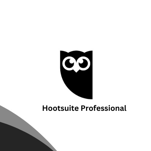 Hootsuite Professional Personal 1 Month