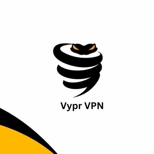 Vypr VPN  shared 6 Month
