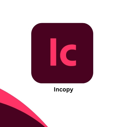 Incopy Personal 12 Month